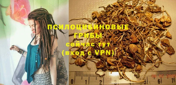 apvp Алзамай